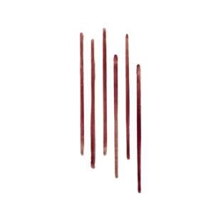 Lip Tint Liner עיפרון טינט להדגשת ומילוי שפתיים, Smokey Mulberry, 1 מ"ל