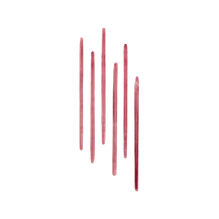 Lip Tint Liner עיפרון טינט להדגשת ומילוי שפתיים, Rosewood, 1 מ"ל